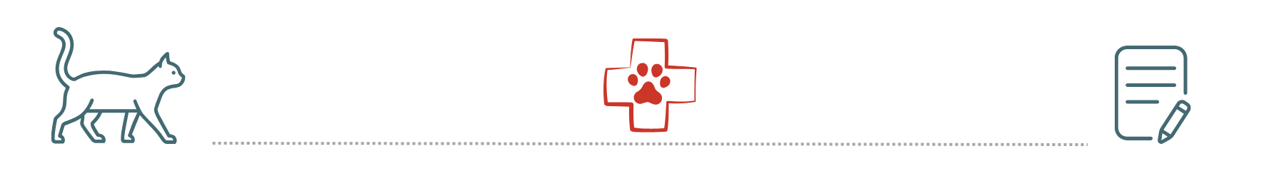 emergency care for cats and dogs at Affordable Animal Emergency Clinic Auburn WA with pet insurance support