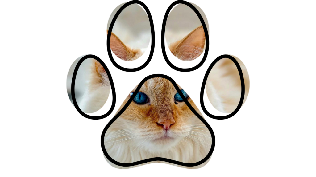 Cat's face seen through a large paw print design.