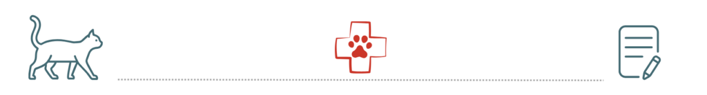 Silhouette of a cat, a red medical cross with a pet, and a document icon with a pen.