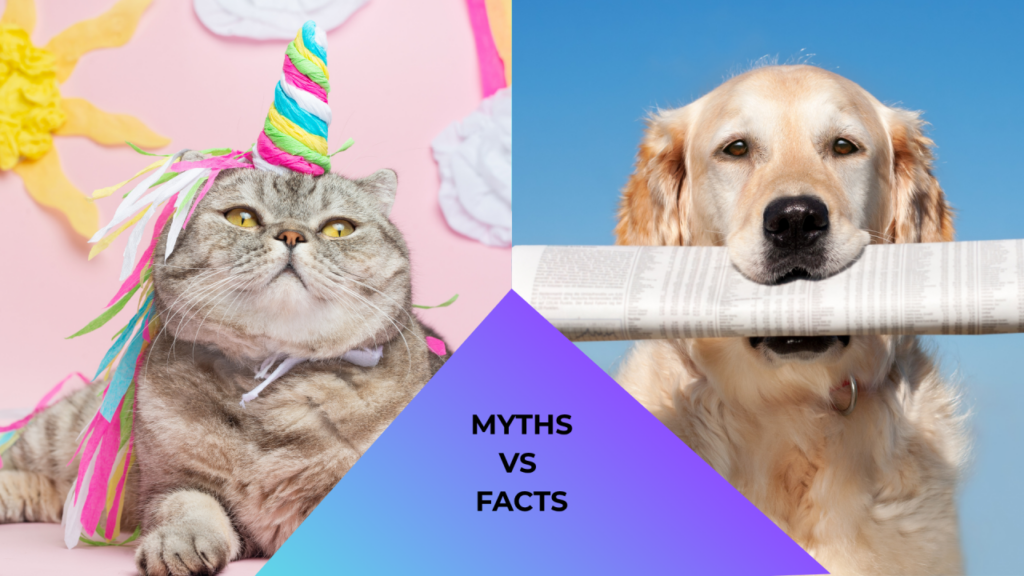 A cat wearing a colorful unicorn horn beside a dog holding a newspaper in its mouth.