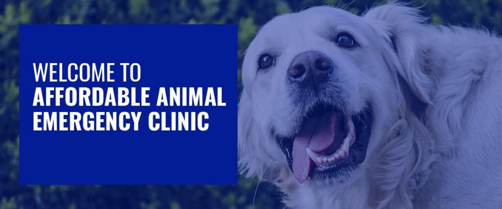 Golden retriever smiling next to a blue sign that reads "Welcome to Affordable Animal Emergency Clinic.