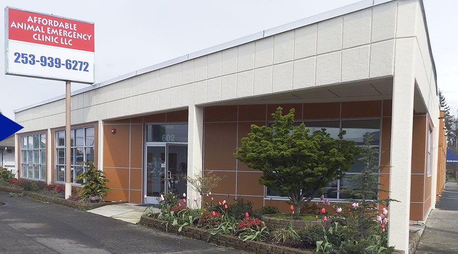 Building with a sign reading "Affordable Animal Emergency Clinic LLC" and a landscaped entrance.