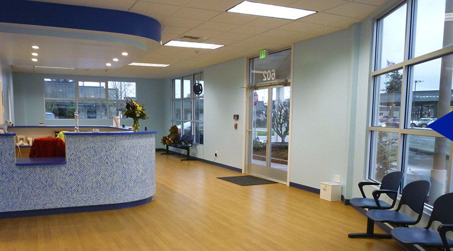 A modern waiting room with blue chairs, large windows, and a reception desk on light wooden flooring.