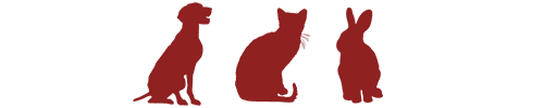 A red silhouette of a lion on a red background.
