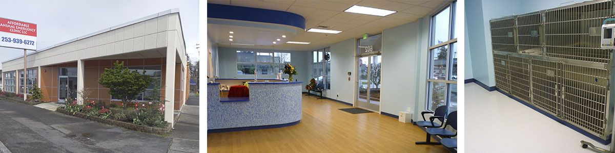 Veterinary clinic with an exterior view, reception area, and animal cages.